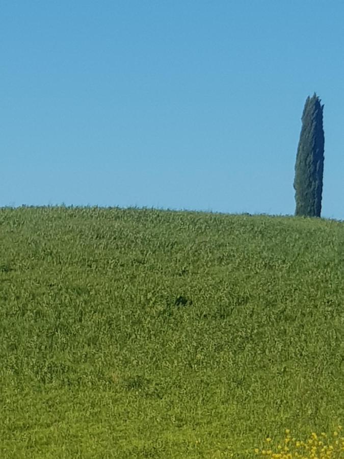 Ferienwohnung Casa Per L'Osticcio Vista Sulla Val D'Orcia Montalcino Exterior foto