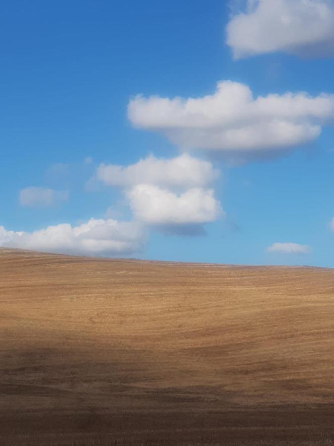 Ferienwohnung Casa Per L'Osticcio Vista Sulla Val D'Orcia Montalcino Exterior foto