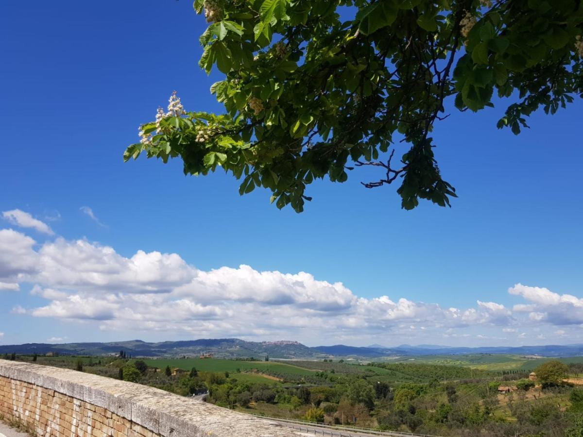 Ferienwohnung Casa Per L'Osticcio Vista Sulla Val D'Orcia Montalcino Exterior foto