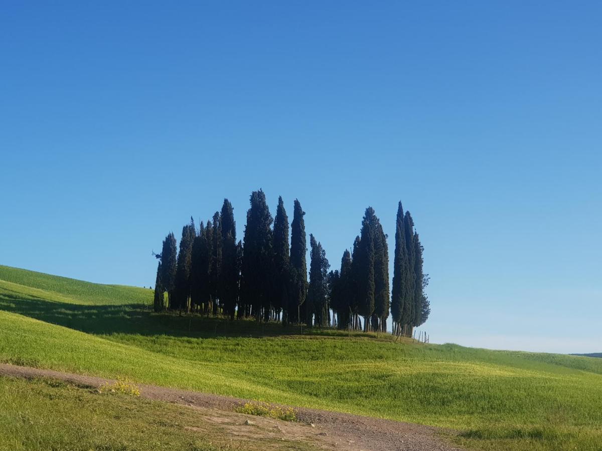 Ferienwohnung Casa Per L'Osticcio Vista Sulla Val D'Orcia Montalcino Exterior foto