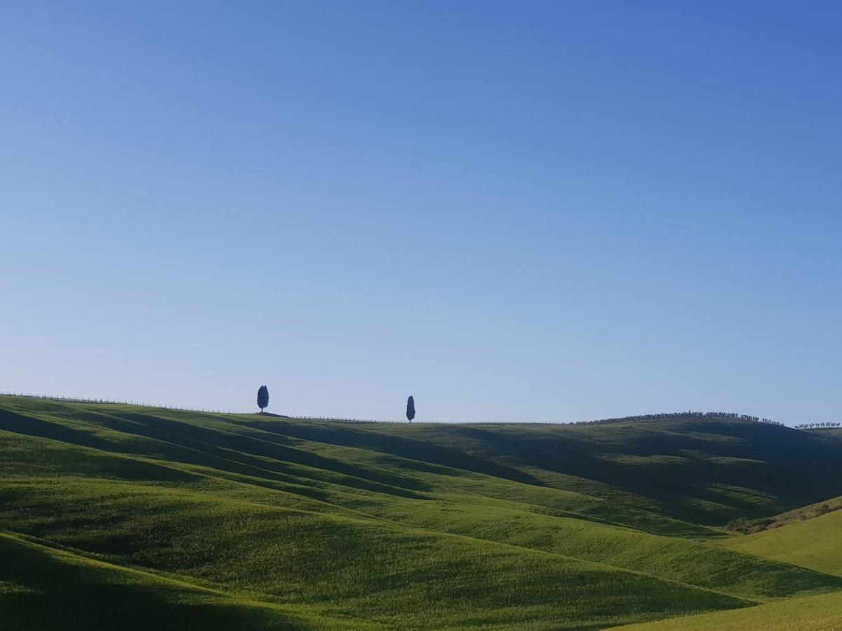 Ferienwohnung Casa Per L'Osticcio Vista Sulla Val D'Orcia Montalcino Exterior foto